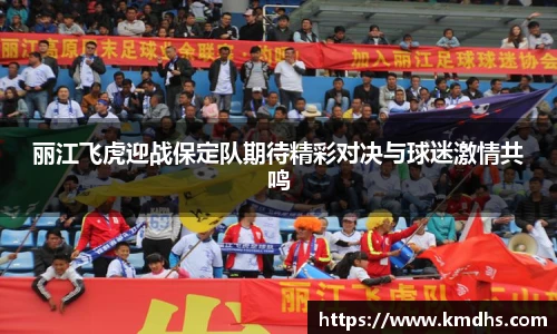 丽江飞虎迎战保定队期待精彩对决与球迷激情共鸣