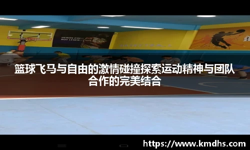 篮球飞马与自由的激情碰撞探索运动精神与团队合作的完美结合